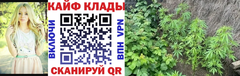 Цена Новый Уренгой Cocaine  Alpha PVP  ГАШ  Галлюциногенные грибы  Меф мяу мяу  Канабис 