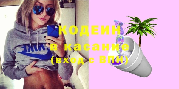 индика Алексеевка