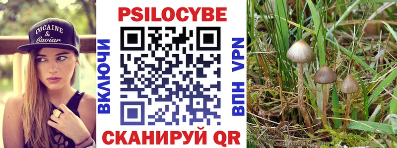 MEGA ссылки  Новый Уренгой  Псилоцибиновые грибы мицелий 